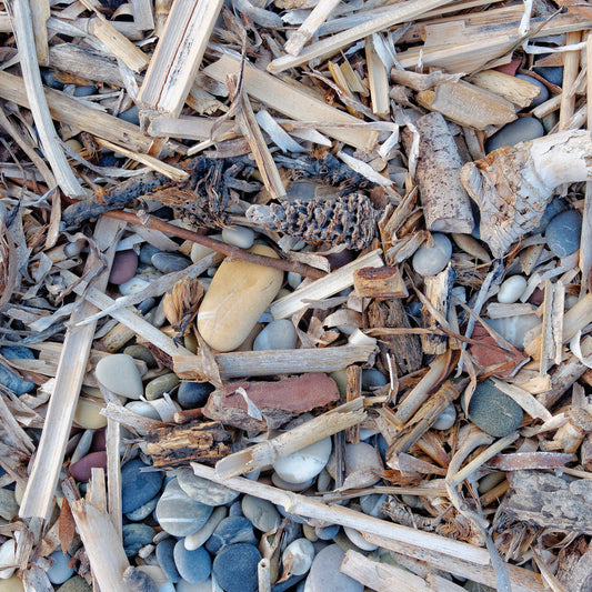 Lavender Driftwood