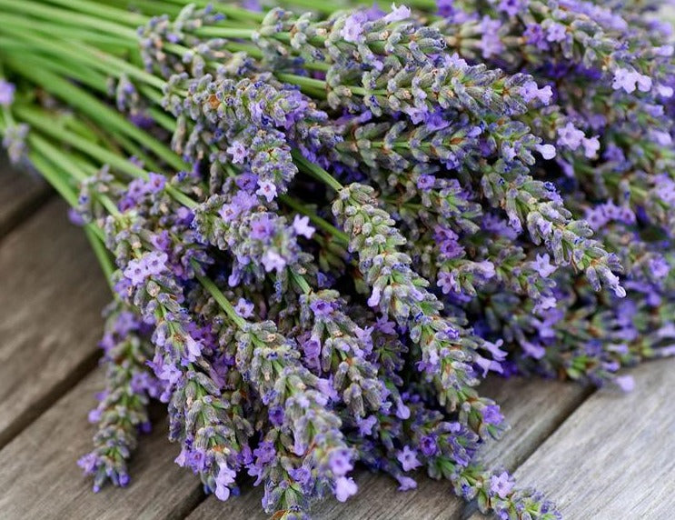 Lavender - Soyme Gifts